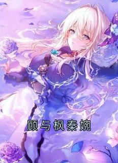 《顾与枫陆淮序》小说全集免费在线阅读（顾与枫秦婉）