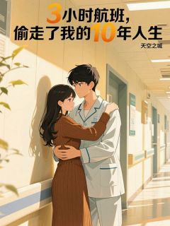 《3小时航班，偷走了我的10年人生》江挽舟陆清辞周默安 3小时航班，偷走了我的10年人生第一章章节在线阅读