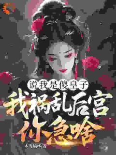 说我是傻皇子，我祸乱后宫你急啥？