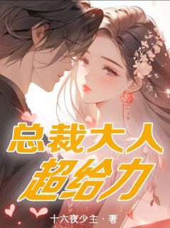 总裁大人超给力