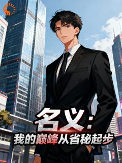 名义：我的巅峰从省秘起步