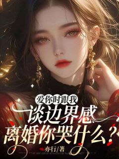 《爱你时跟我谈边界感，离婚你哭什么？》林晚凝裴晏宸全文免费试读