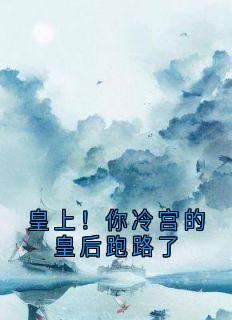 皇上！你冷宫的皇后跑路了
