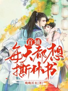 首辅每天都想撕休书