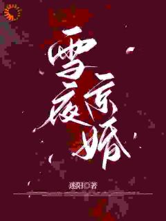 《苏黎周斯辰》小说完结版在线试读 雪夜京婚小说阅读