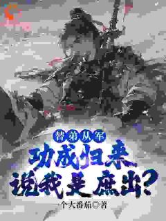 《苏秦苏沐风》替弟从军，功成归来说我是庶出？章节在线试读 第3章