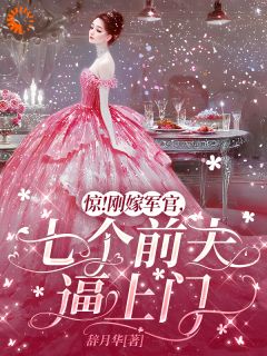 《惊！刚嫁军官，七个前夫逼上门》小说在线阅读 《惊！刚嫁军官，七个前夫逼上门》最新章节目录