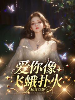 爱你像飞蛾扑火沈眠陆淮舟小说精彩章节篇免费试读