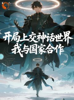 《开局上交神话世界，我与国家合作》小说全文在线试读 林宇张天奇小说阅读