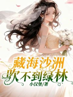 藏海沙洲吹不到绿林主角新月萧逸然全文章节在线阅读