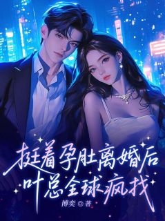《林见微叶梵舟》小说章节免费试读 挺着孕肚离婚后，叶总全球疯找小说阅读