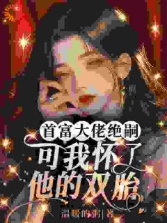 《一夜意外后，姐带双胎赢麻了》颜雨京墨琮第3章章节列表精彩试读