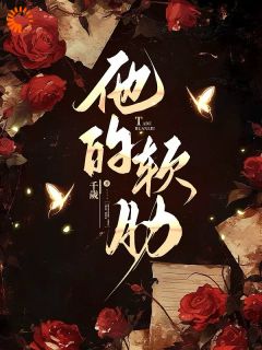 《他的软肋》安娜秦煜全文精彩阅读