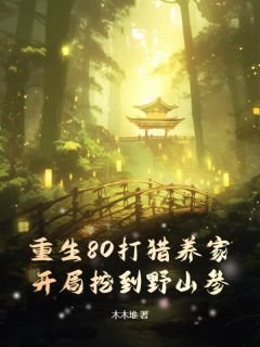 《宋祁年江婉宁》重生80打猎养家，开局挖到野山参！完结版精彩阅读