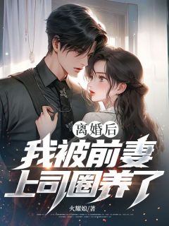 《秦枫安娜》小说全文免费试读 离婚后，我被前妻上司圈养了！小说阅读