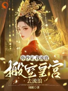 你抄家，我流放，搬空皇宫去流浪小说全集免费在线阅读（顾小暖厉寒洲）