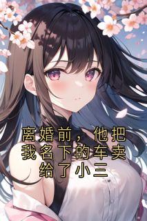 《离婚前，他把我名下的车卖给了小三》陈浩林薇章节精彩试读