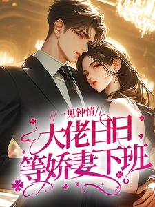 一见钟情，大佬日日等娇妻下班全本资源下载APP 江贝拉陆北安完整未删减版