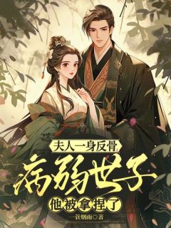 《陆昭宁顾长渊》小说全文在线试读 夫人一身反骨，病弱世子他被拿捏了小说全文