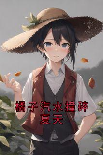 橘子汽水撞碎夏天苏晚星林砚小说结局完整全文