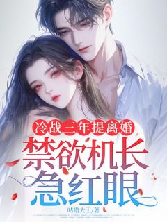 沈庭初裴屿之全文阅读 冷战三年提离婚，禁欲机长急红眼小说章节目录