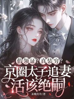 假领证？真装穷？京圈太子追妻活该绝嗣完整版 苏晚霍瀚琛全章节阅读