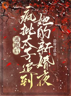 逃跑后，疯批太子追到她的新婚夜完整目录在线阅读 (聿映絮薛临濯) 大结局无弹窗