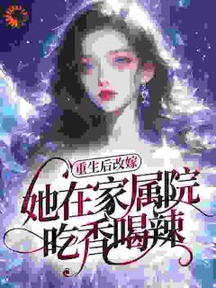 《重生后改嫁，她在家属院吃香喝辣》叶柠贺延全本在线阅读