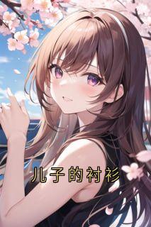 儿子的衬衫全章节免费在线阅读 陈凯陈安完结版