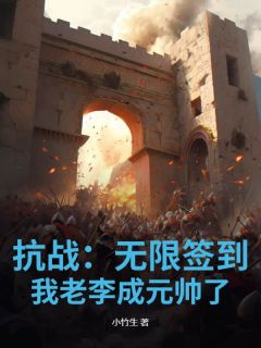 抗战：无限签到，我老李成元帅了书名叫什么_李云龙周卫国