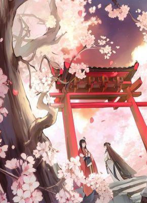 太医宣布我流产那天，我的夫君正在迎娶平妻最新章节免费阅读（完整版未删节）