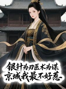 《银针为刃医术为谋，京城我最不好惹》凤九赵子墨第3章大结局在线试读