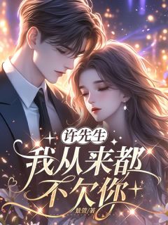 许先生，我从来都不欠你温凝许言舟小说 许先生，我从来都不欠你小说章节