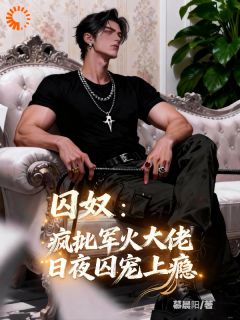 囚奴：疯批军火大佬日夜囚宠上瘾夏知遥沈御by慕晨阳完整在线阅读