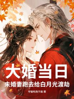 陆凡苏浅浅小说 《大婚当日，未婚妻跑去给白月光渡劫》小说全文免费阅读