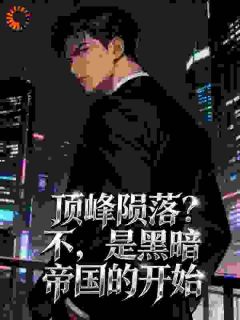 《刘顶峰李丹》顶峰陨落？不，是黑暗帝国的开始章节在线试读 第7章