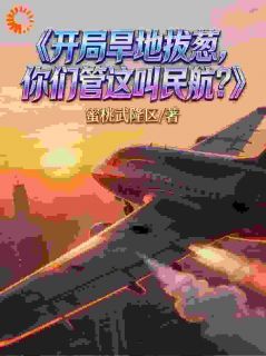 《林墨朱广林》王牌机长穿民航，系统逼我开无双章节在线试读 第1章