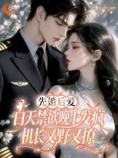 白天禁欲晚上发疯，机长又野又撩小说 乔曦凌云小说叫什么