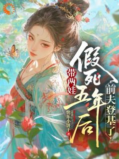 好书推荐《沈娆傅渊》带两娃假死五年后，前夫登基了全文在线阅读