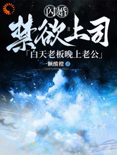 明皎贺澹静小说 《闪婚禁欲上司，白天老板晚上老公》小说全文免费阅读
