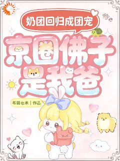 三岁崽崽的眼泪，是融化爹的利器小说 沅宝贺时晏小说叫什么