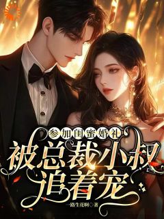 参加闺蜜婚礼，被总裁小叔追着宠