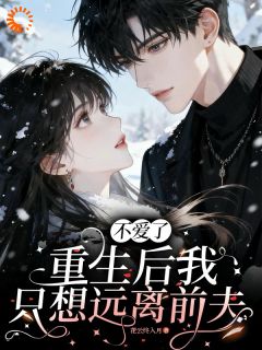 唐诗宋辞小说 不爱了，重生后我只想远离前夫小说叫什么