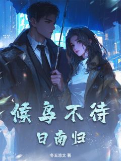 阿宝陈孝廉候鸟不待日南归小说免费试读全文章节目录精彩章节