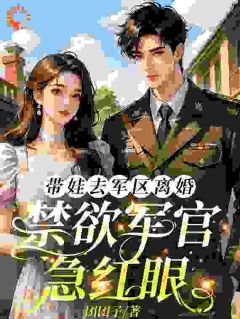 《宋允棠傅卫城》带娃去军区离婚，禁欲军官急红眼章节在线试读