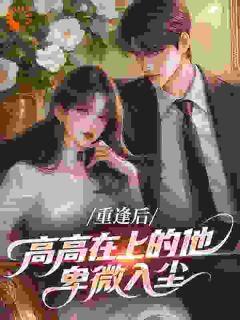 苏言季复临重逢后，高高在上的他卑微入尘by00零完整在线阅读