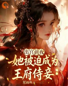 出宫前夜，她被迫成为王府侍妾完整版全文阅读 月衡靖王 大结局