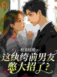 《限时试探》凌夕澜霍潇第4章大结局免费阅读