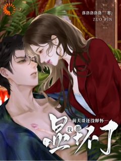 书凝封律全文目录 我都显怀了，前夫哥还没释怀免费章节阅读
