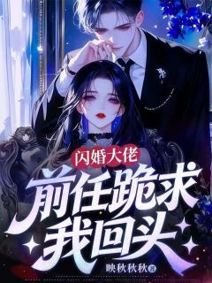 闪婚大佬，前任跪求我回头林一蔓陆封衍精彩内容在线阅读